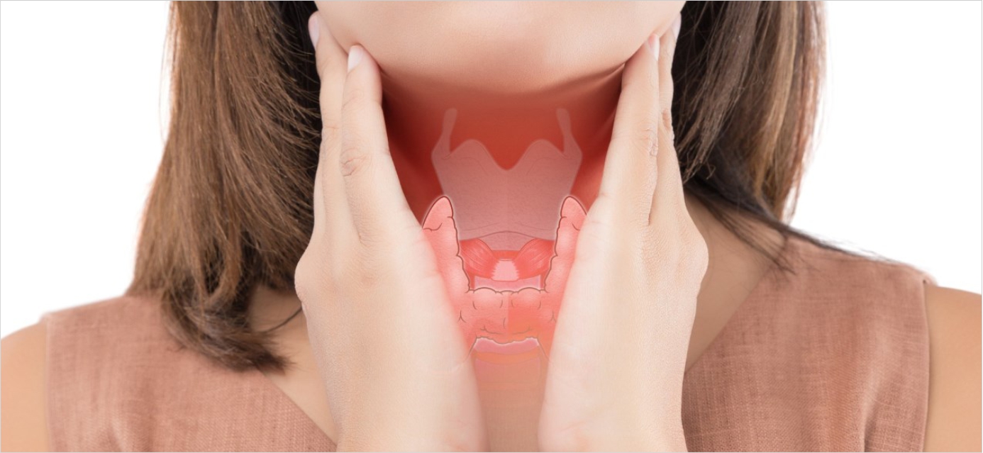 Щитовидка — наше гормональное здоровье