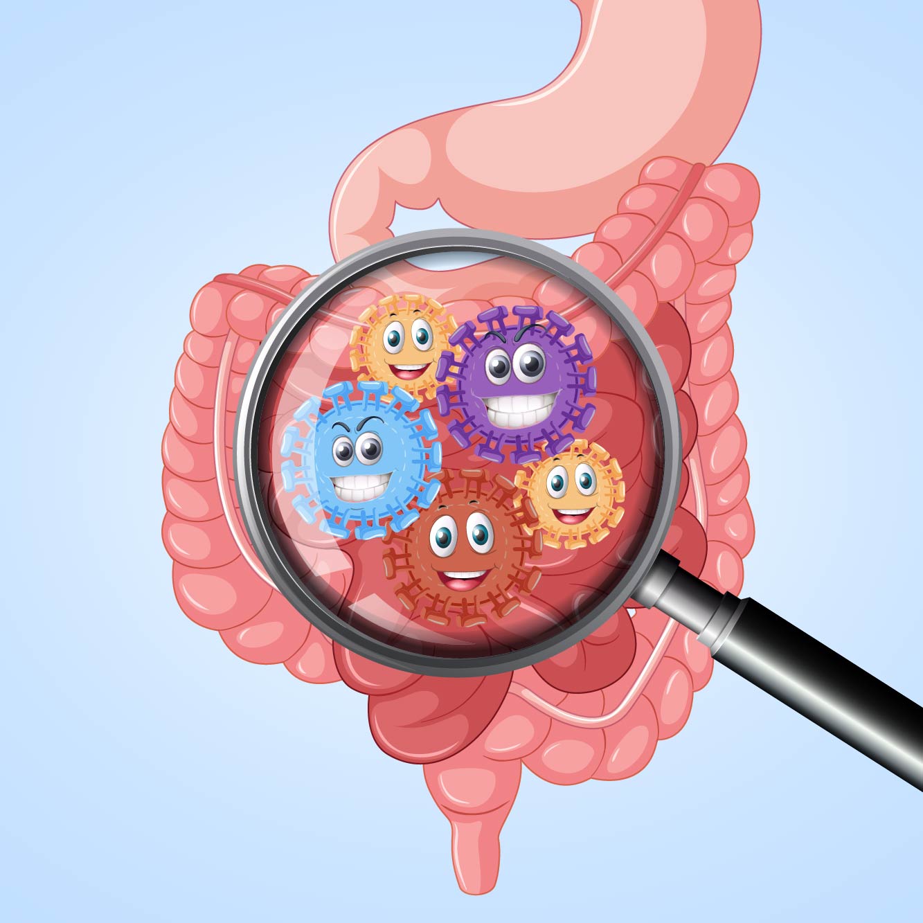Микробиота: кто обитает в кишечнике?